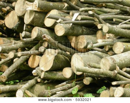 Logs