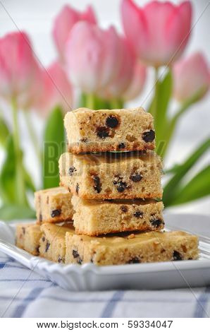 Chocolate Chip Blondies