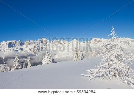 View Of Dolomites
