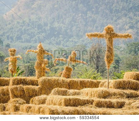 Scarecrows Stand Together In The Garden