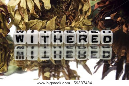 Withered Message With Flowers