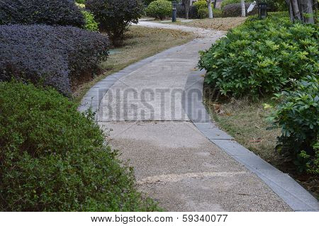 Lane