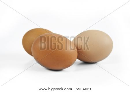 Æg