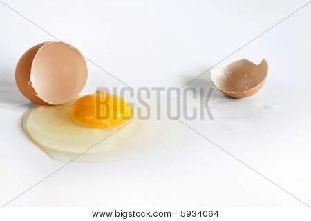 Æg