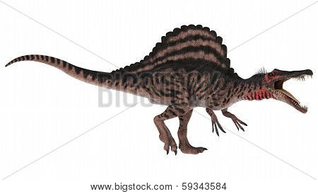 Dinosaur Spinosaurus