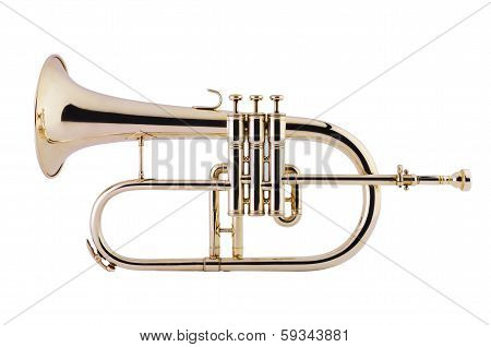 Flugelhorn On White Background