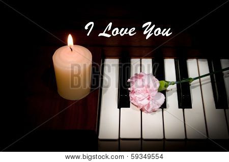 Pink Carnation On Piano Keys