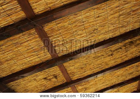 Reedy roof with wooden log