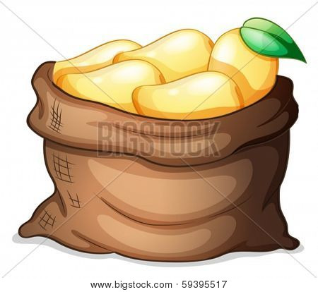 Illustration of a sack of ripe mangoes on a white background