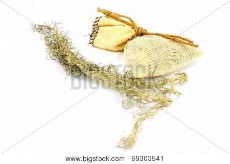 wormwood