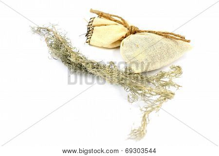 wormwood
