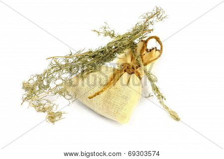 wormwood