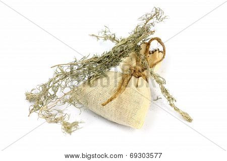 wormwood