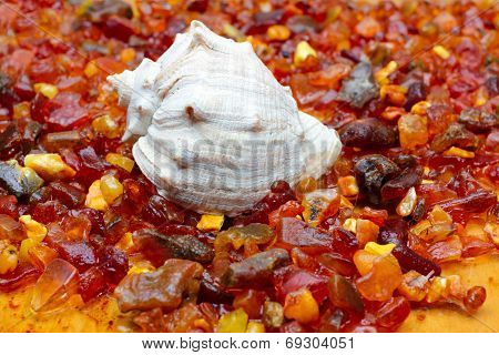 amber and seashell