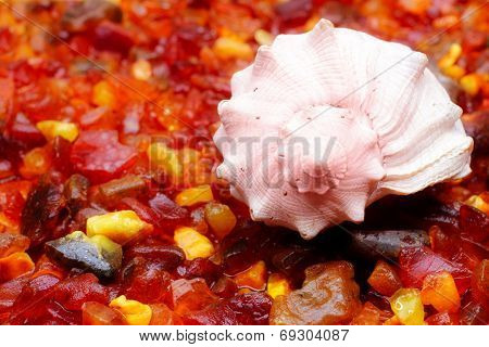 amber and seashell