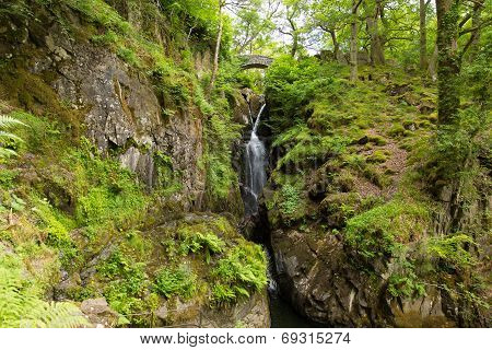 Aira Force waterfall Ullswater Valley Lake District Cumbria England UK in beautiful woodland