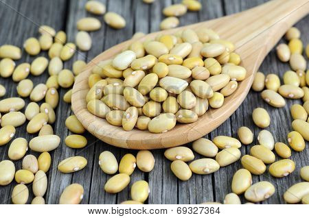 Peruvian Canary (Peruano) Beans on grunge table