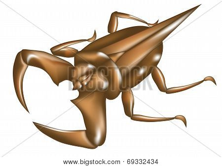 Water Scorpion