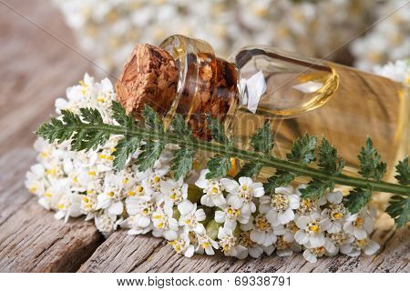 Extract Of Yarrow In A Bottle With Flowers On The Table