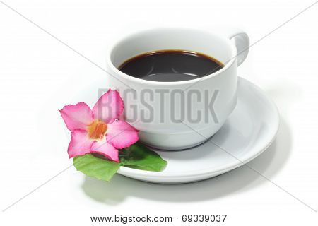 isolated on white background. Coffee cup