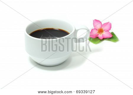 isolated on white background. Coffee cup