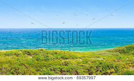 Isla Contoy Landscape, Mexico