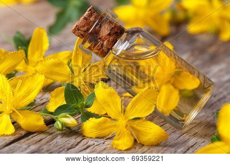Hypericum Oil In A Glass Bottle Macro Horizontal
