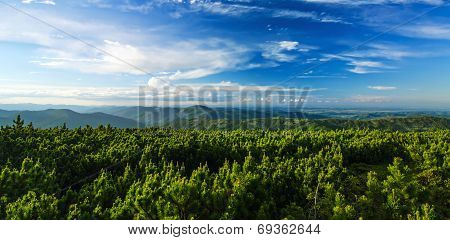 Carpathian mountain landscape panorama