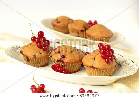 Muffins with red currants