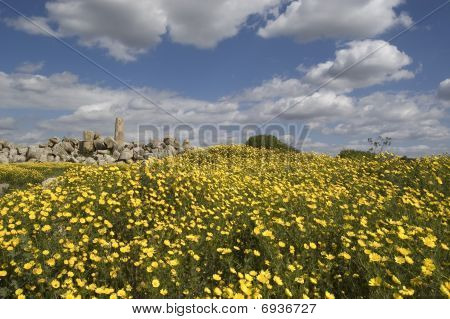 Ruinas y campo