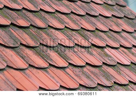 Coseup of a red roofing slate, patterns