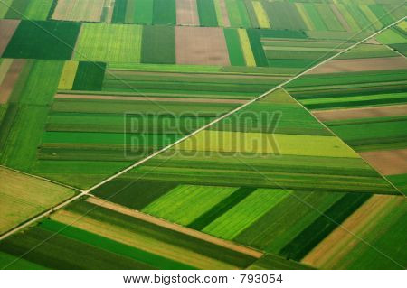 airview pola