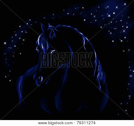 Horse In Night