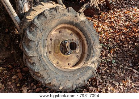 Old Tractor Wheel