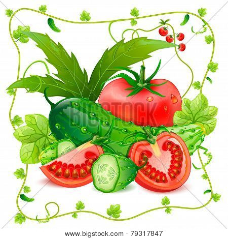 Tomatoes and cucumbers vector