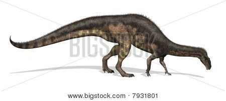 Plateosaura dinosaurus