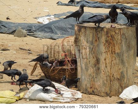 Fish Market