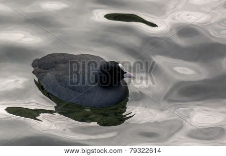 Rail With Water Reflections