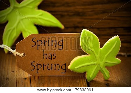 Brown Organic Label With English Text Spring Has Sprung