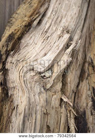 Wood background