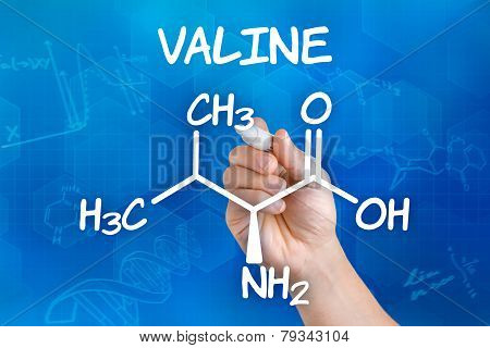 Hand with pen drawing the chemical formula of valine
