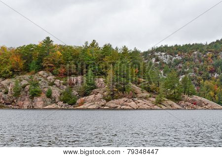 Forest Lake