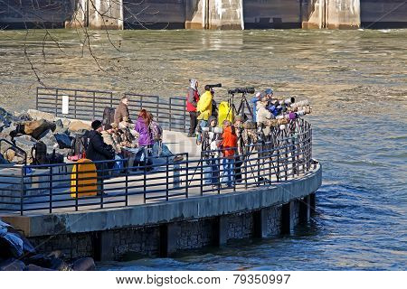 Photographers Waiting For Eagles