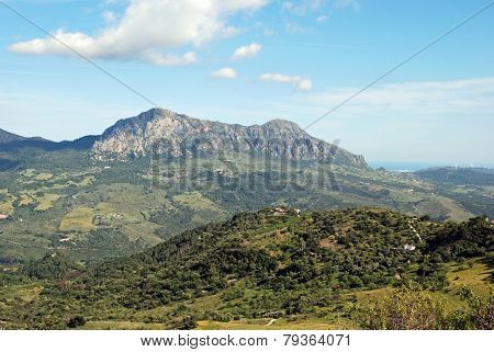 Reales Mountain, Andalusia.
