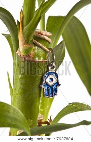 행운의 Hamsa