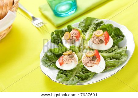 letuce 鸡蛋金枪鱼和橄榄的沙拉