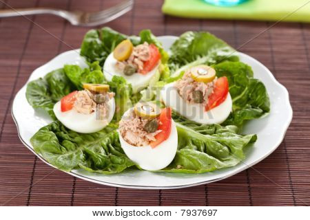 letuce 鸡蛋金枪鱼和橄榄的沙拉