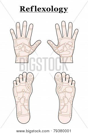 Foot Hand Reflexology Outline