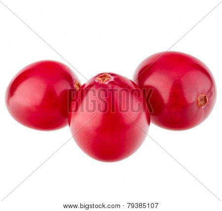 cranberry  isolated on white background cutout