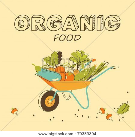 Organic vegetables concept